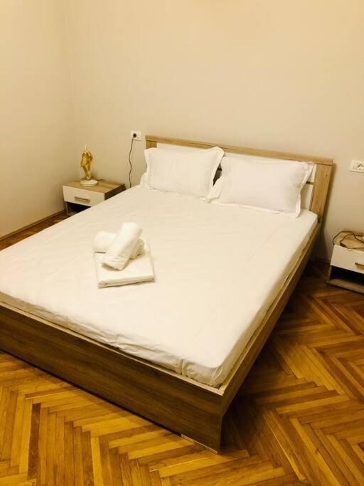 Ultra-Central And Elegant Ap In Opera Square Vic23 티미쇼아라 외부 사진