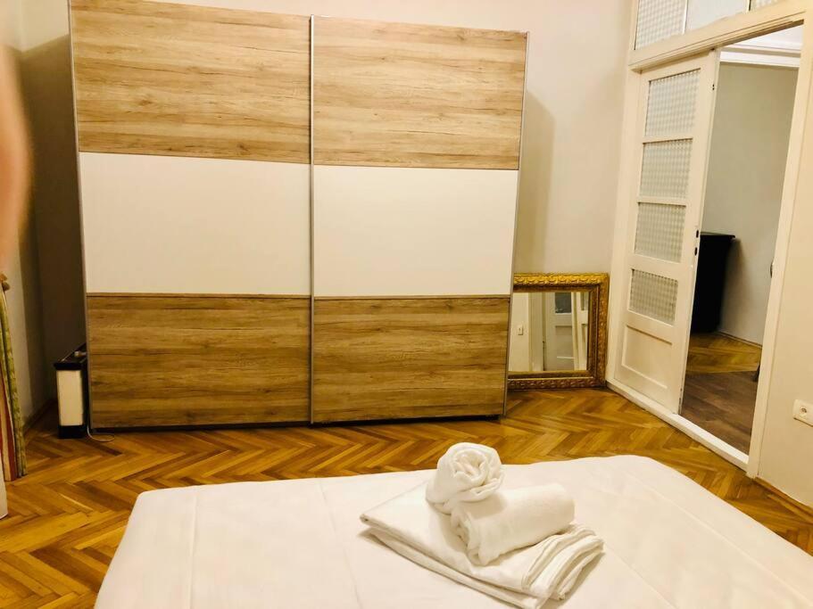 Ultra-Central And Elegant Ap In Opera Square Vic23 티미쇼아라 외부 사진