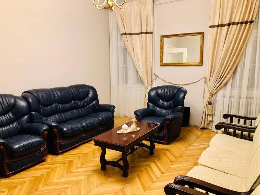 Ultra-Central And Elegant Ap In Opera Square Vic23 티미쇼아라 외부 사진