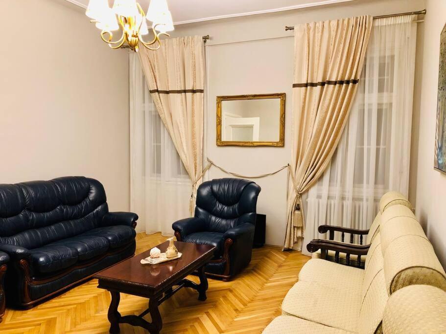 Ultra-Central And Elegant Ap In Opera Square Vic23 티미쇼아라 외부 사진