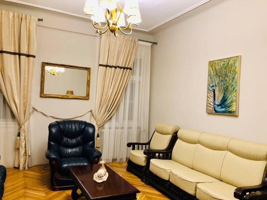 Ultra-Central And Elegant Ap In Opera Square Vic23 티미쇼아라 외부 사진