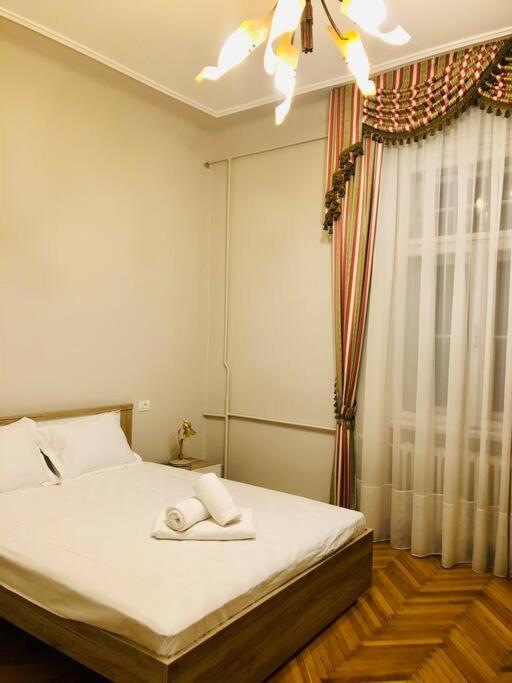 Ultra-Central And Elegant Ap In Opera Square Vic23 티미쇼아라 외부 사진